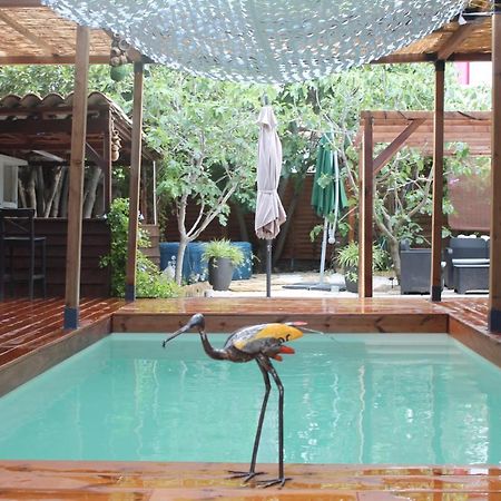 Luc-sur-Orbieu Les 2 Droles D'Oiseaux Bed & Breakfast エクステリア 写真
